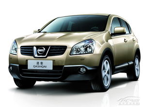 经济实用东风日产逍客 优惠4000元 穆佳展